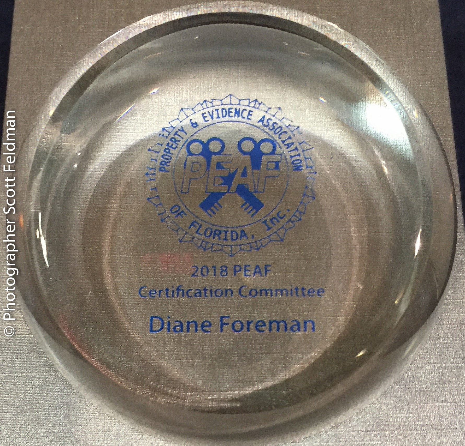 certification-committee-award-diane-foreman