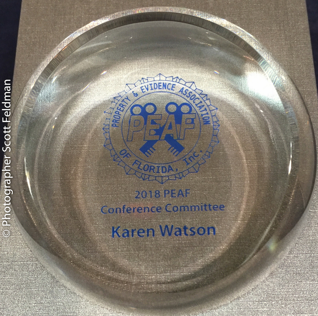 conference-committee-award-karen-watson