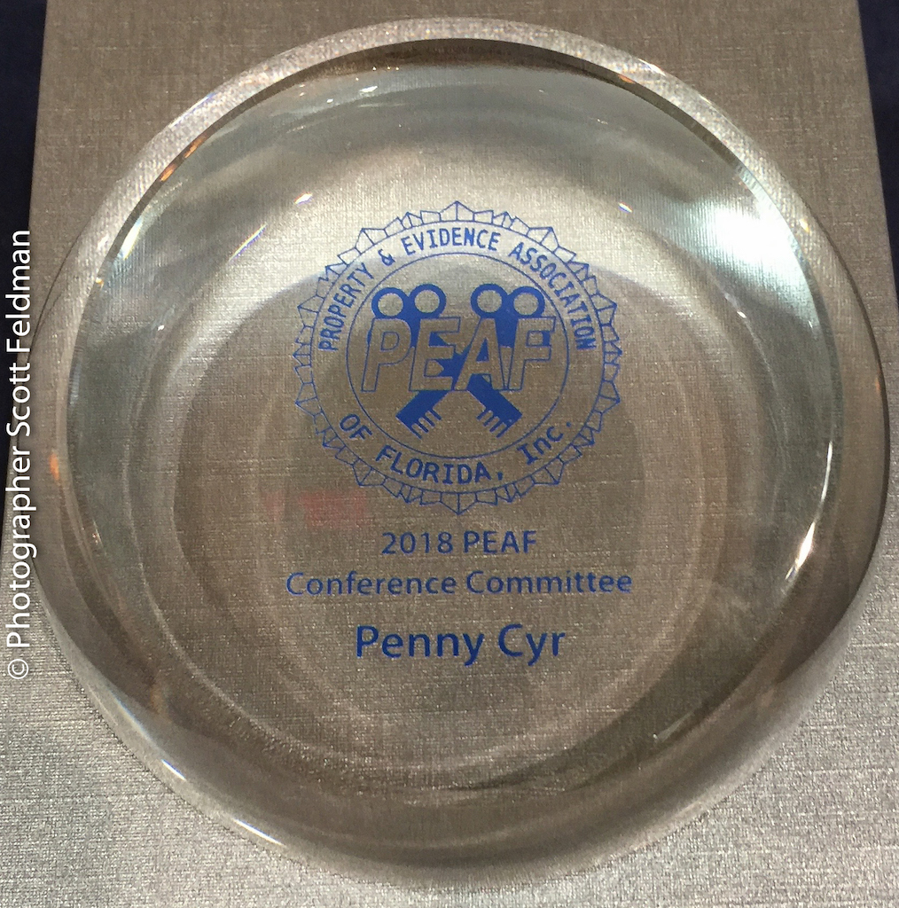 conference-committee-award-penny-cyr